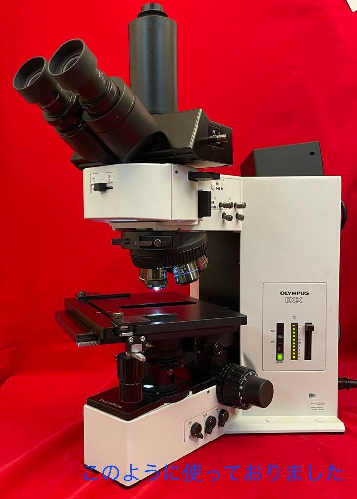 OLYMPUSの顕微鏡BX60/対物レンズLMPlanFI 50x/0.50 MPlanApo 2.5x/0.08